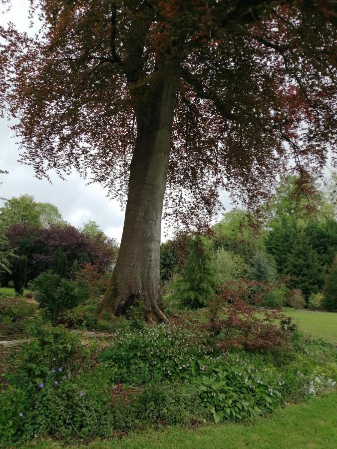 Chambre Le Notre Le Domaine Des Jardins De Bracquetuit מראה חיצוני תמונה