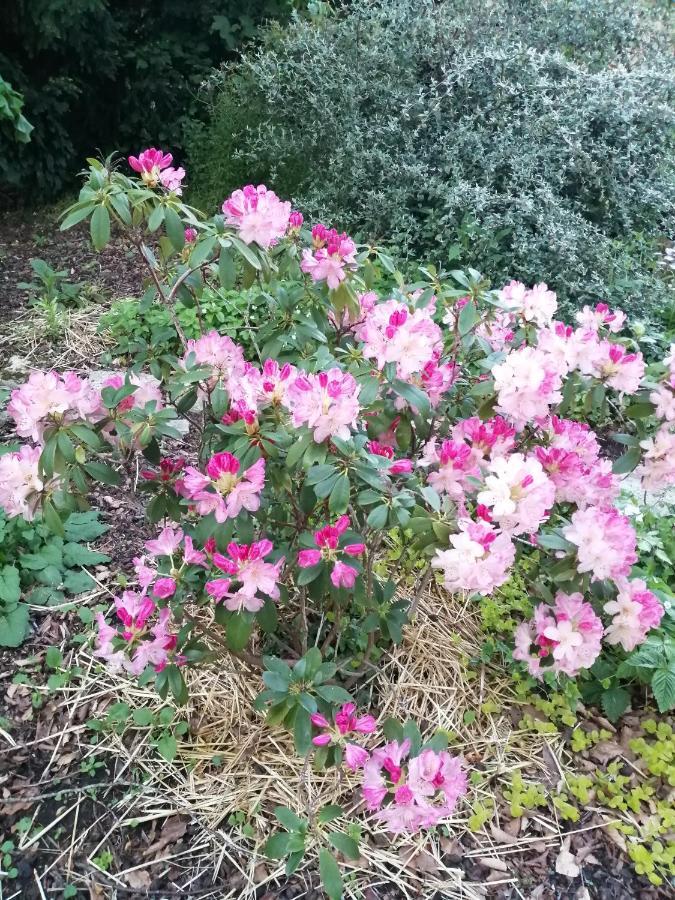 Chambre Le Notre Le Domaine Des Jardins De Bracquetuit מראה חיצוני תמונה