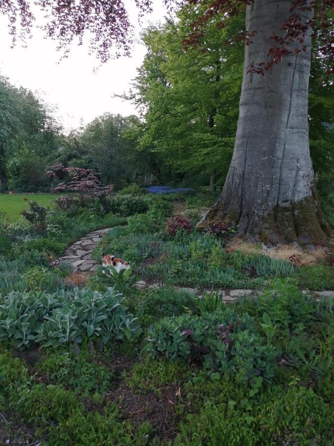 Chambre Le Notre Le Domaine Des Jardins De Bracquetuit מראה חיצוני תמונה