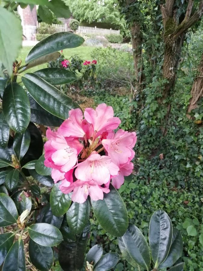 Chambre Le Notre Le Domaine Des Jardins De Bracquetuit מראה חיצוני תמונה