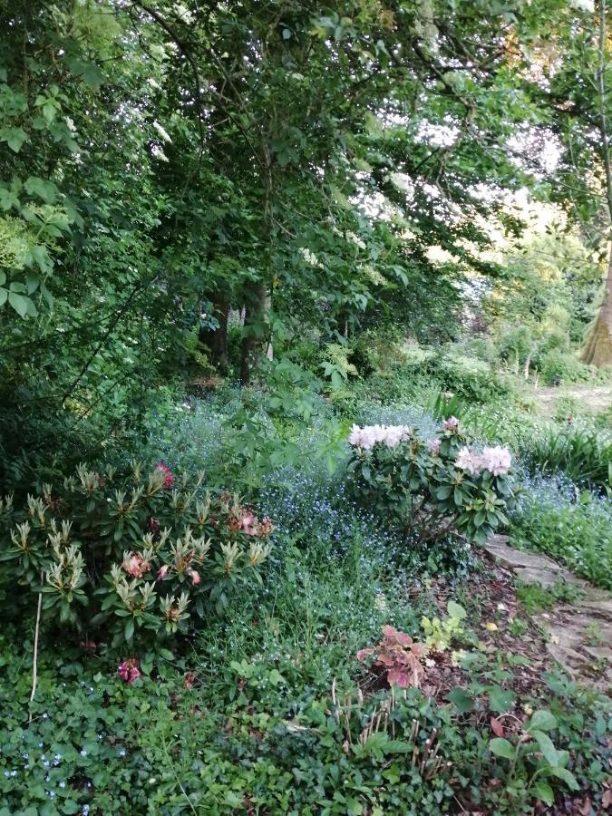 Chambre Le Notre Le Domaine Des Jardins De Bracquetuit מראה חיצוני תמונה