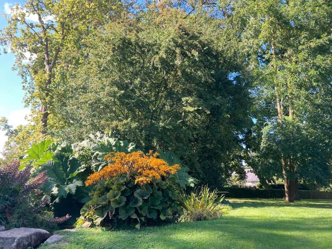 Chambre Le Notre Le Domaine Des Jardins De Bracquetuit מראה חיצוני תמונה